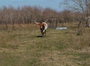 6427 County Road 166, Alvin, TX 77511