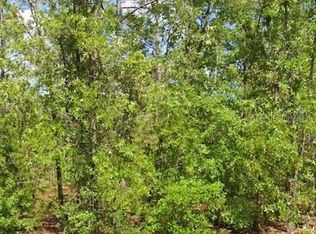 971 W Homeway Loop #11, Dunnellon, FL 34434