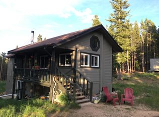 463 Pine Cone Dr, Ward, CO 80481