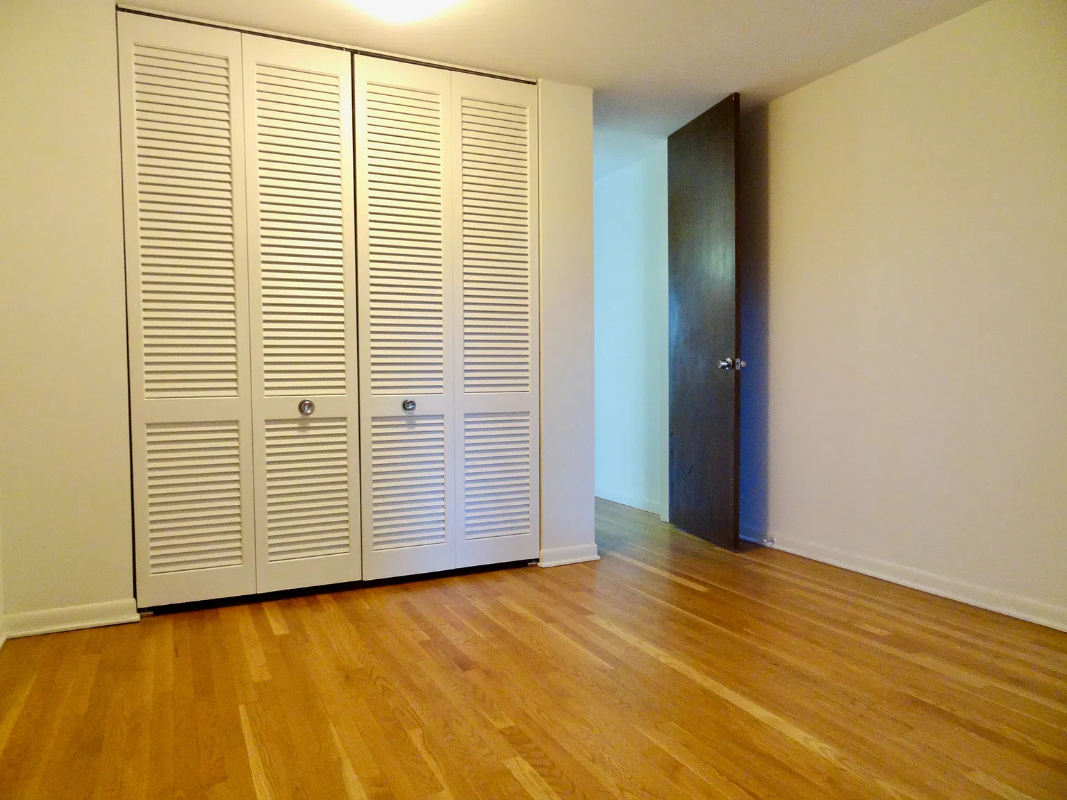 1 bed, 900 sqft, $1,500 — Photo 3