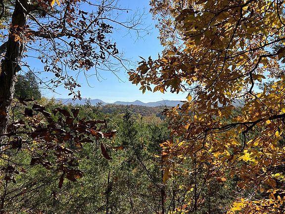 2nd image of 0 Manning Hollow Rd Lot 4