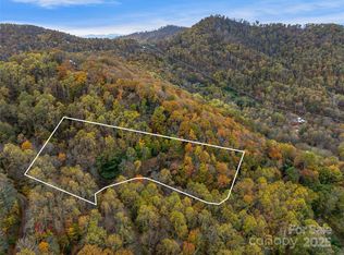 45 Flora Rose Trl, Asheville, NC 28803