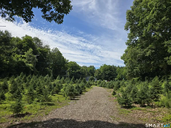 Route 6, Andover, CT 06232