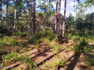 2663 Carolyn St, Deltona, FL 32738