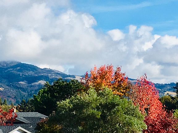 5th image of 7163 Overlook Drive