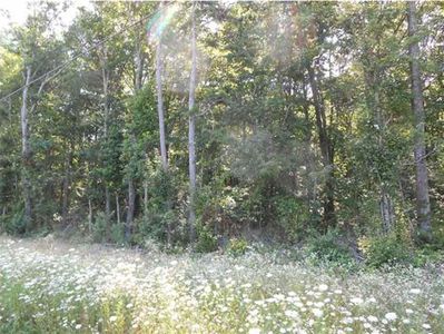 0 Tallent Rd SW Lot 90, Mc Donald, TN, 37353