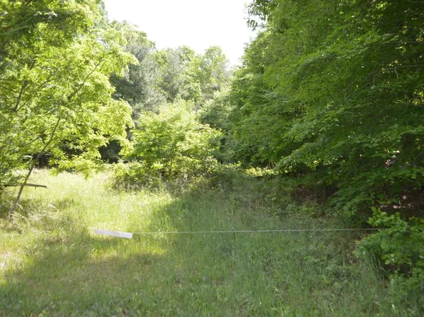 0 Little Mountain Rd, New Castle, VA 24127