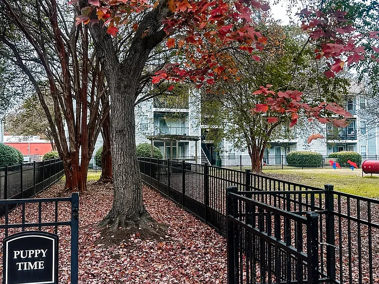 Hampton Center Apartments — Photo 15