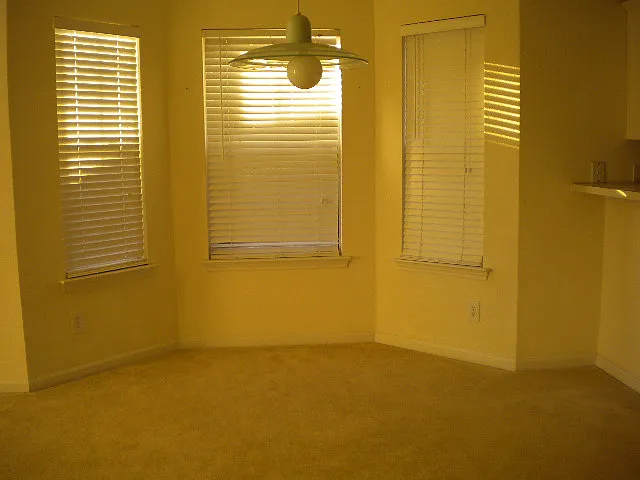 1041 Stoney Falls Blvd — Photo 5
