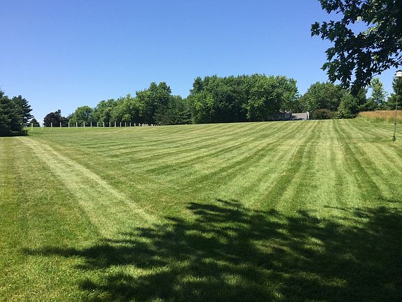 Established lawn