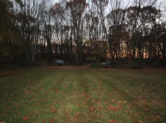 2nd image of 3304 Woodhams Ave