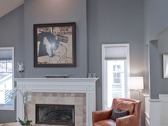 Vaulted Ceiling & Gas Fireplace