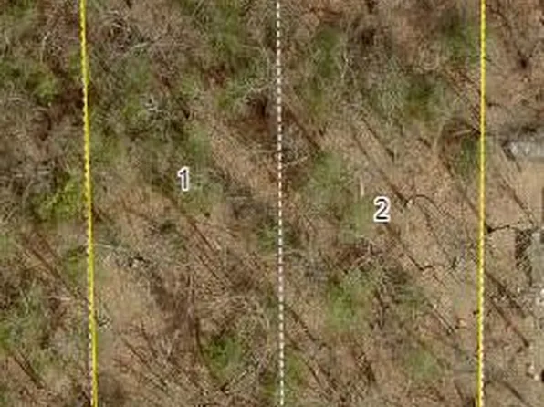 Monroe Vacant Land 2 Parcels Rd, Allegan, MI 49010