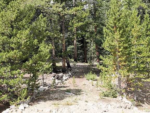 2nd image of 141 Gold Trail Cutoff