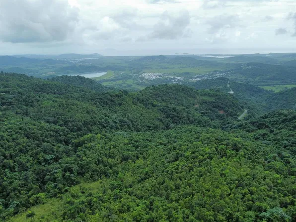 State Road 950 Km #4.3, Naguabo, PR 00718