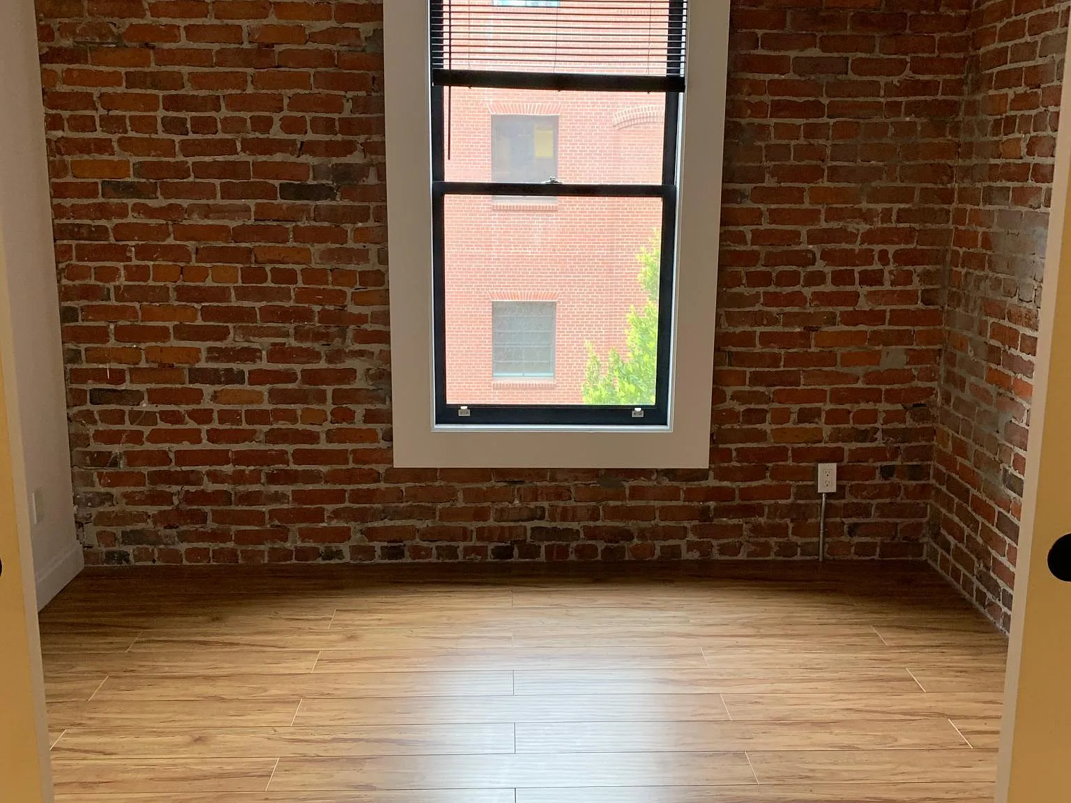 1 bed, 392 sqft, $3,000 — Photo 4