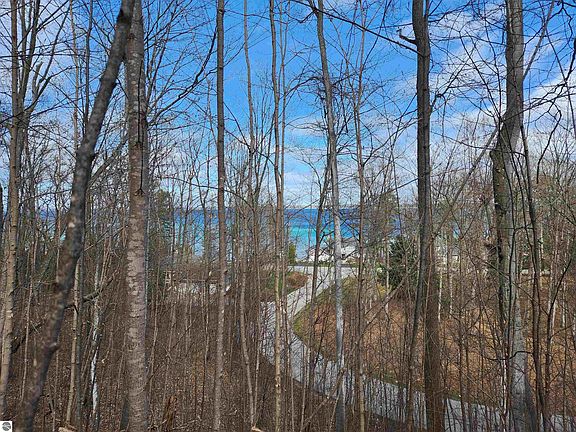 4th image of 11799 Willow Point Dr