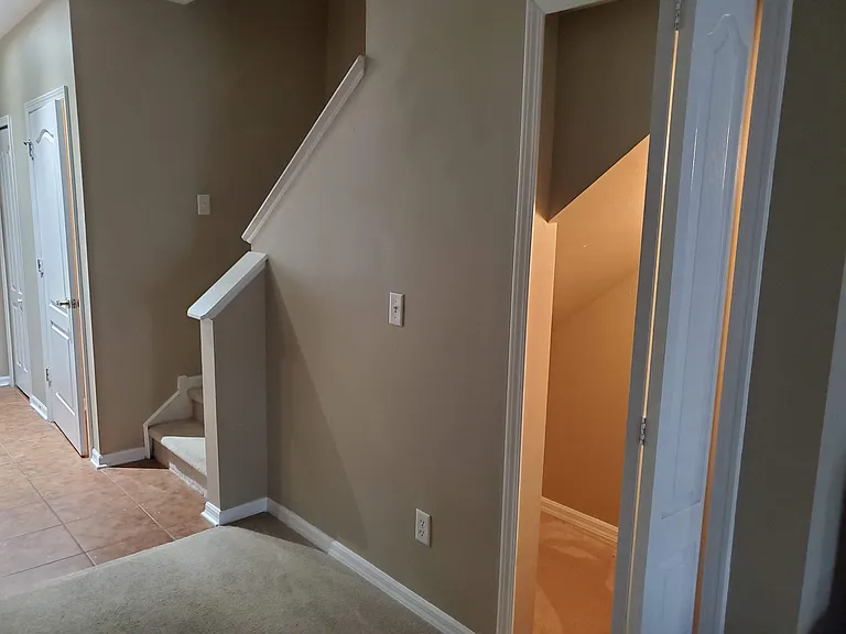 15924 Fishhawk Creek Ln — Photo 9