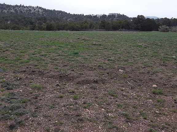 2nd image of 13217 County Road 673