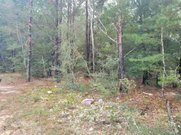 5 E Violet Ln, Defuniak Springs, FL 32433