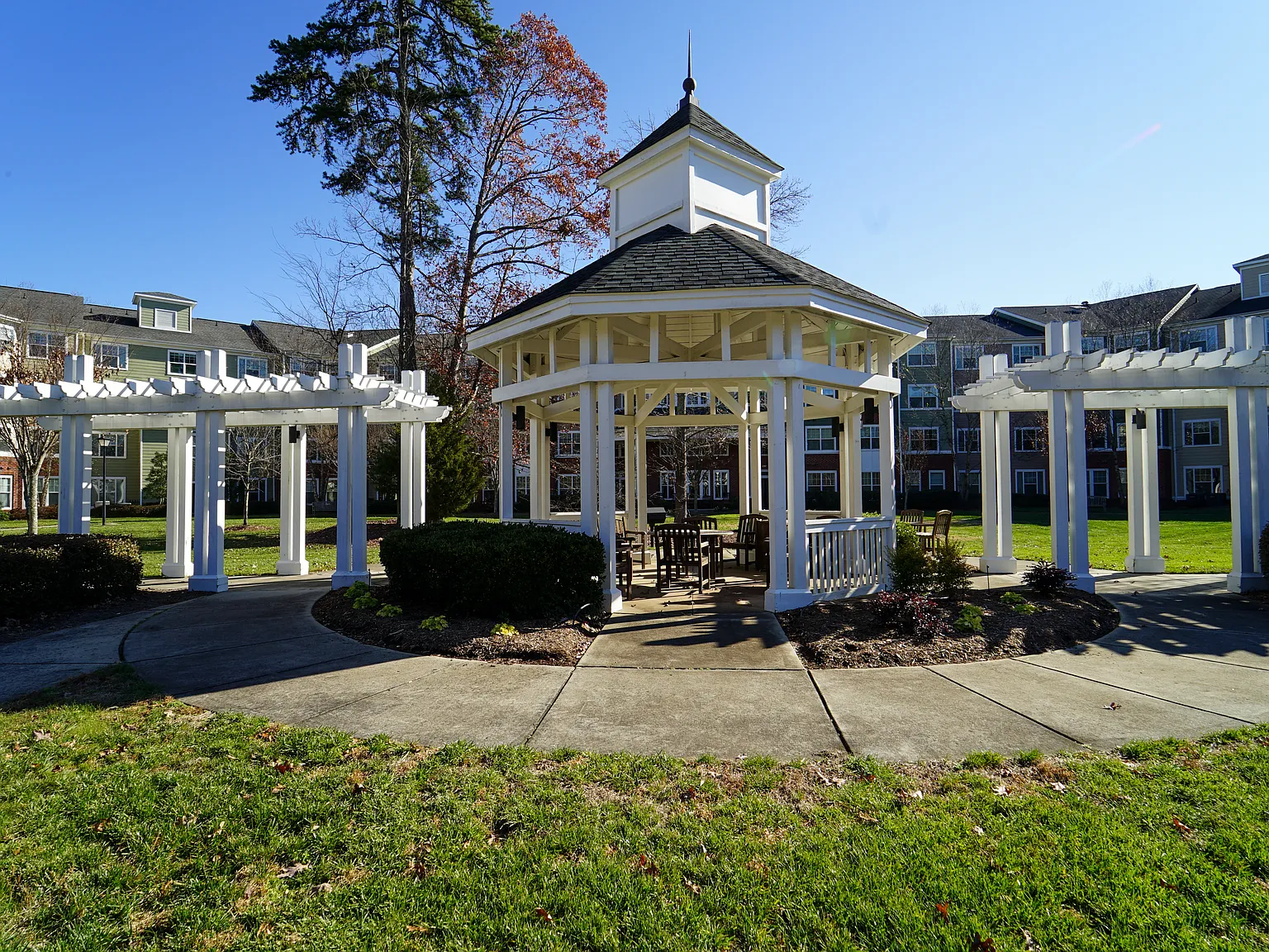 Prosperity Creek Seniors — Photo 3