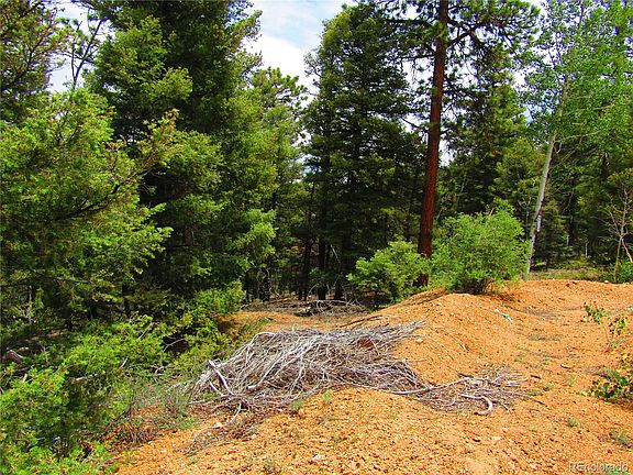 5th image of LOT 6029 Spruce Road