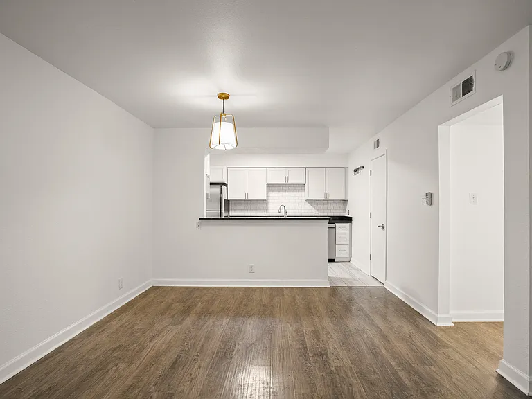 2020 S Congress Ave #A2102 — Photo 8