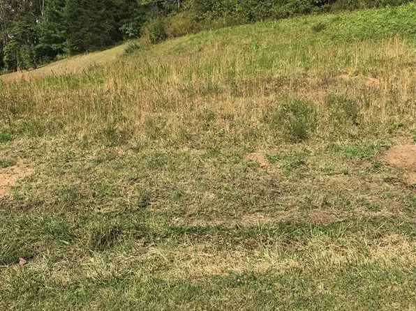 LOT 38 Brooke St, Chilhowie, VA 24319