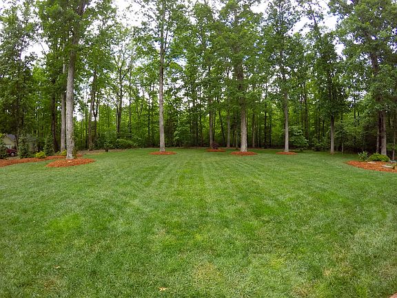 Rear Lawn