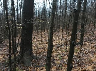 2648 Wolf Spring Rd, Scio, NY 14880