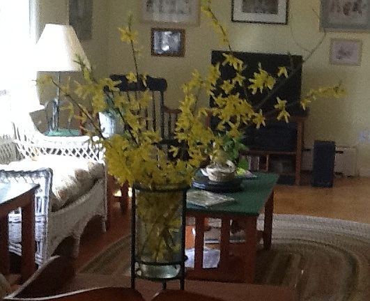 family room