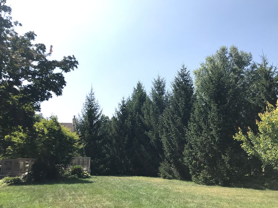 Backyard view