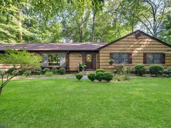 2 Stony Brook Rd, Washington Twp., NJ 07853