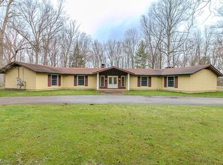 9251 Boyer Ln, Kirtland Hills, OH 44060