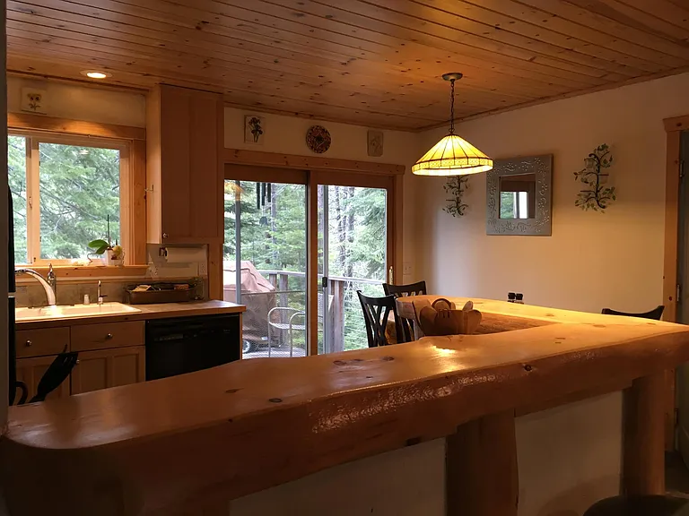 Bar/kitchen