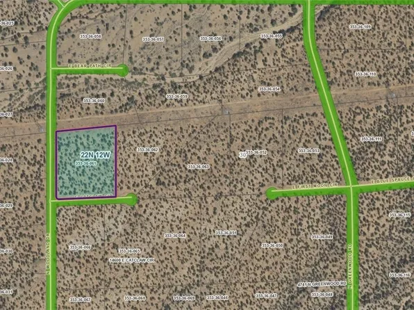 25 Catclaw Cir, Hackberry, AZ 86411