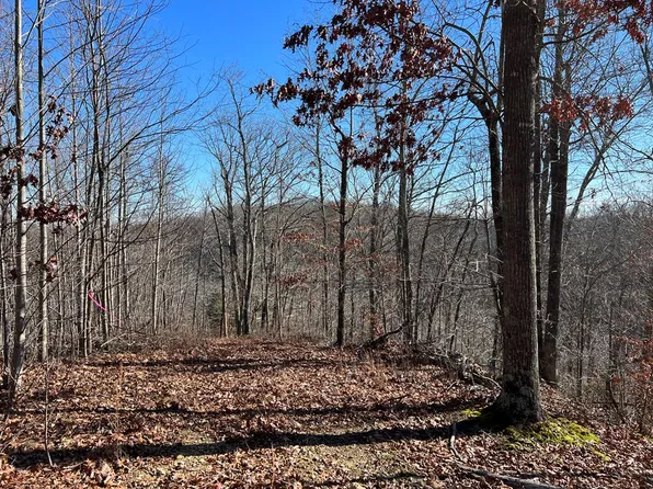 Riley Creek Rd, Whitleyville, TN 38588