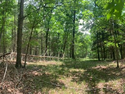 0 Slate Rock Pass Rd, Wardensville, WV, 26851