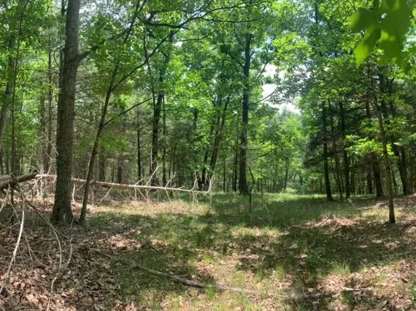 0 Slate Rock Pass Rd, Wardensville, WV 26851