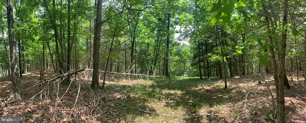 0 Slate Rock Pass Rd photo 1