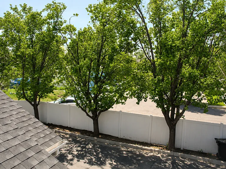 View from Master