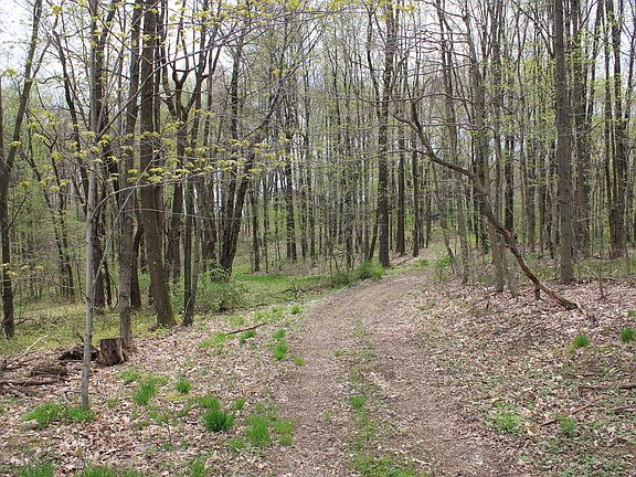 4th image of Lot 4 Fallecker Road