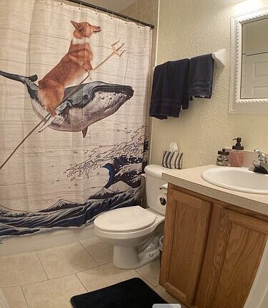 5th image of 220 Columbia Dr APT 10