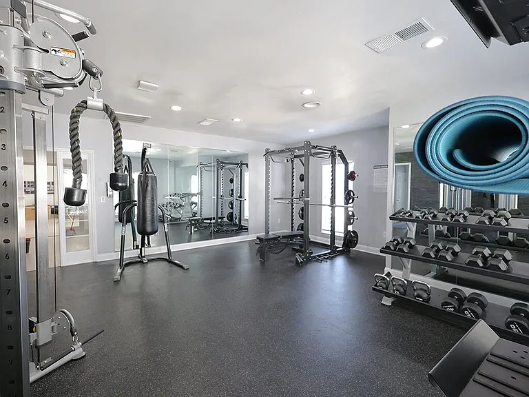 Free Weights