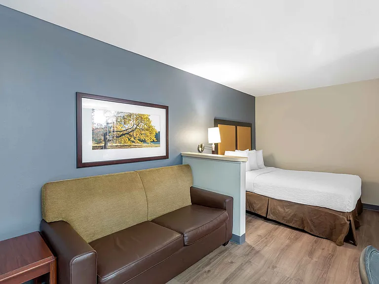 Deluxe Studio - 1 Queen Bed