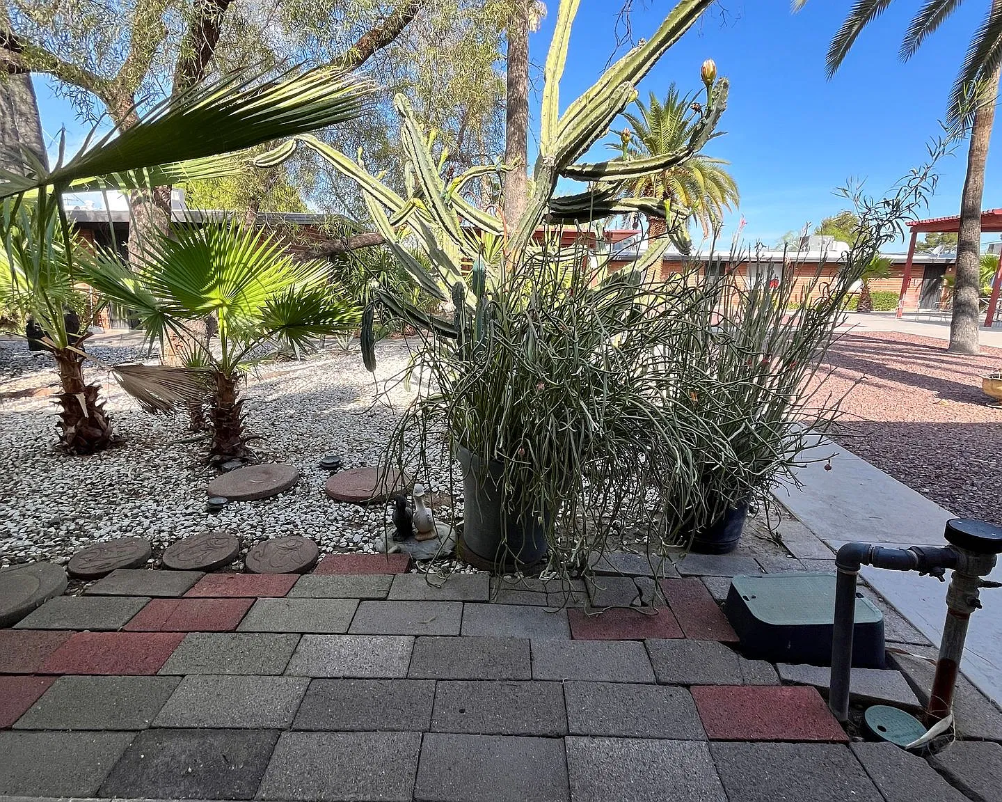 El Monterey — Photo 1