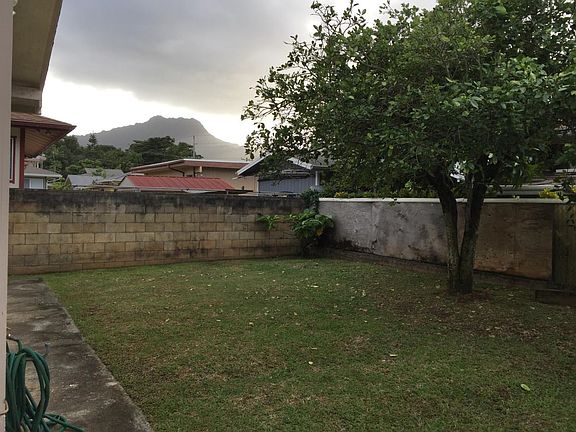 Back yard