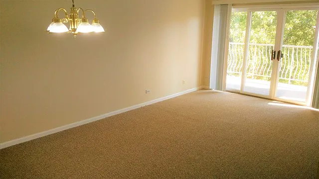 7051 W Touhy Ave APT 405 photo 1