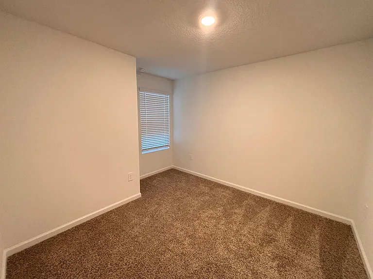 284 Palmetto Ridge Rd — Photo 21