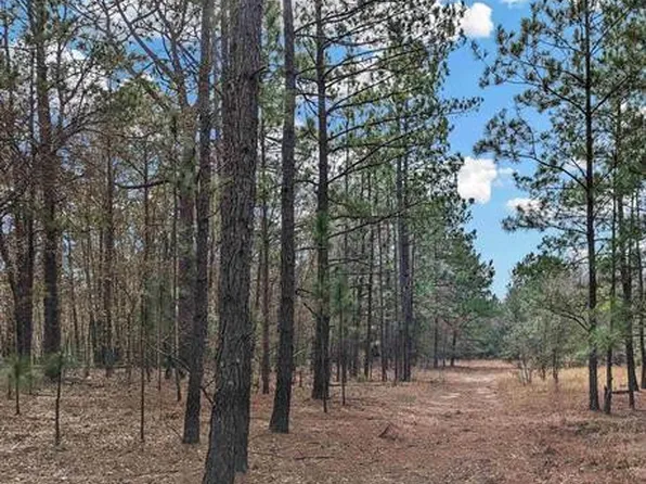 LOT 2 Camden Hwy, Bishopville, SC 29010